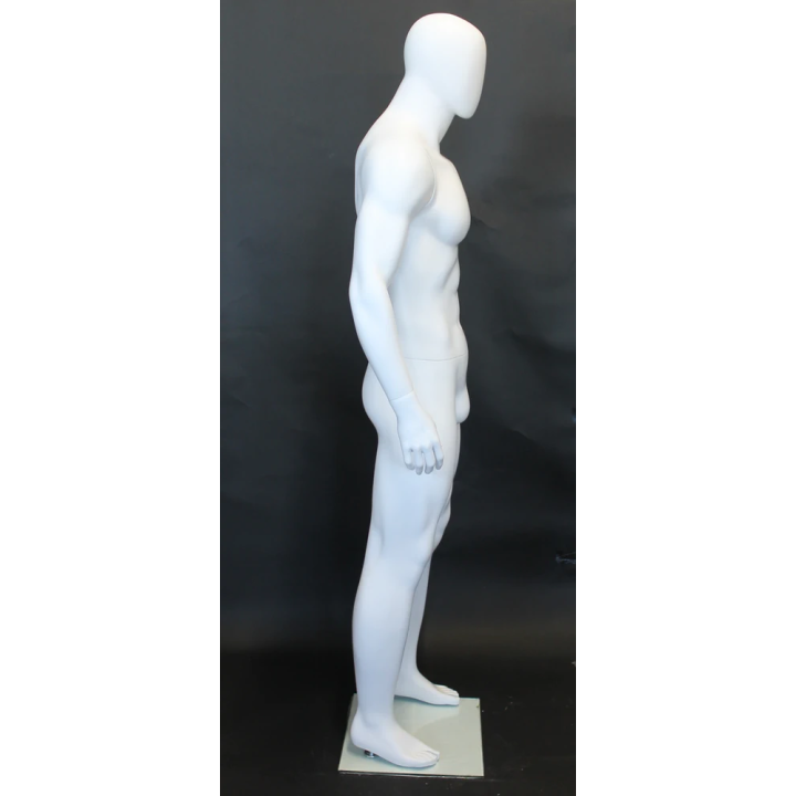 SFM53E-WT - 6 ft 2 in Athletic Male Mannequin Egg head Matte white
