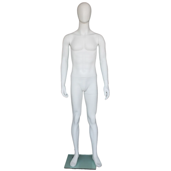 5 ft 10 in Male Mannequin Small Size Egg head Matte white -SFM72E-WT
